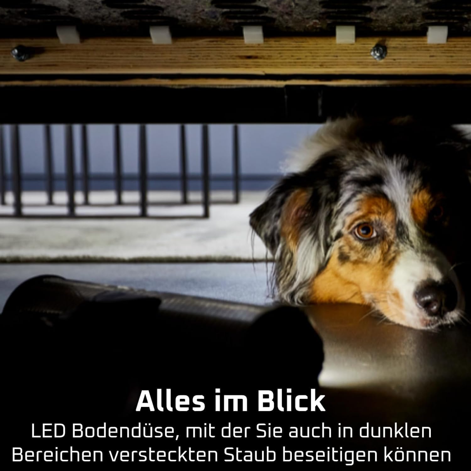 Rowenta X-Force Flex 13.60 Akku-Staubsauger, Allergikermodell, Tiefenreinigung, Flexgelenk, 150 Luftwatt, bis zu 60 Minuten Laufzeit, hergestellt in Frankreich, RH9A36WV – Bild 11