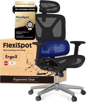 FLEXISPOT ErgoX Ergonomischer Büro...