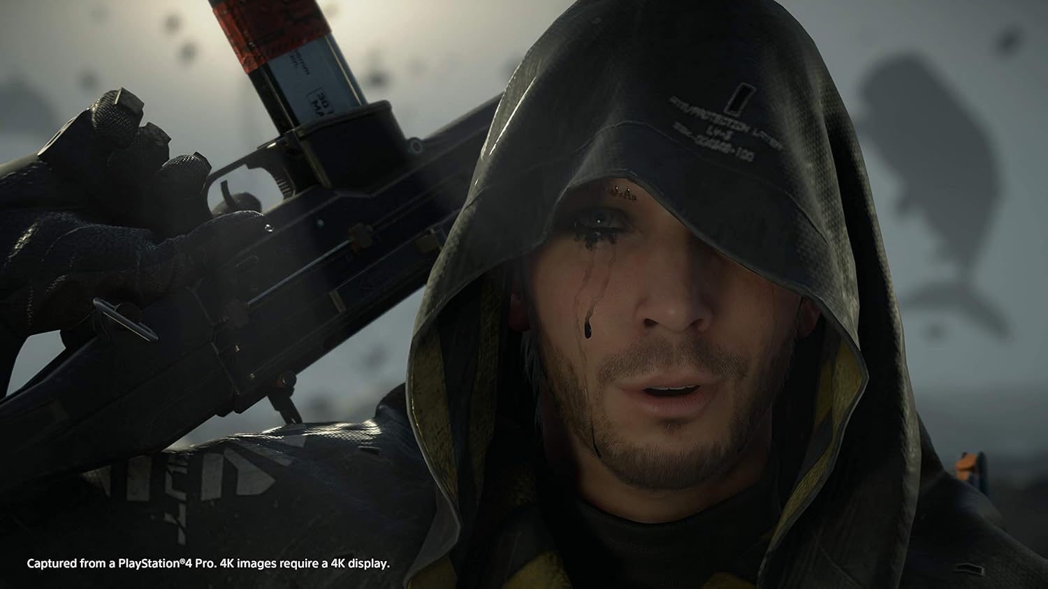 Death Stranding – Standard Edition (PlayStation 4) – Bild 5