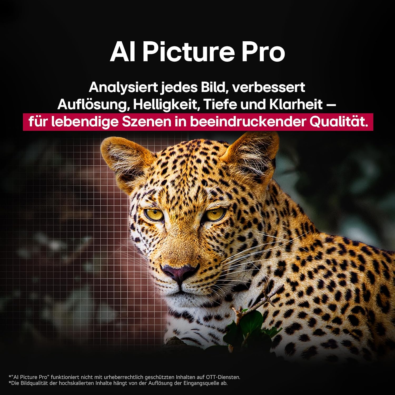 LG OLED65C5ELB, 65 Zoll (165 cm), 4K OLED evo AI TV, α9 Gen8 Prozessor, webOS 25, 120 Hz (VRR bis zu 144 Hz), Modelljahr 2025 – Bild 6
