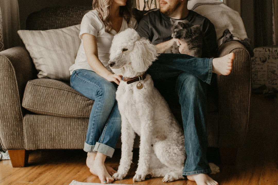 A cozy living room with a pet-friendly design, featuring a dog resting on a clean sofa and pet accessories neatly arranged.